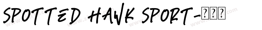 SPOTTED HAWK SPORT字体转换